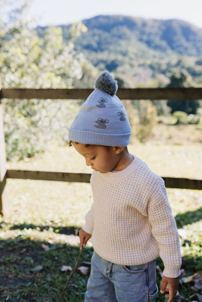 Acorn - Koala Merino Beanie