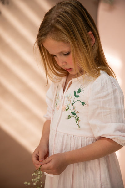 Bella+ Lace-Nadia Dress/Pink Pond