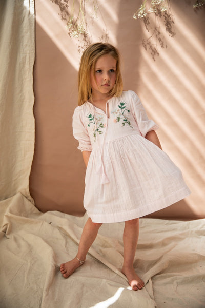 Bella+ Lace-Nadia Dress/Pink Pond