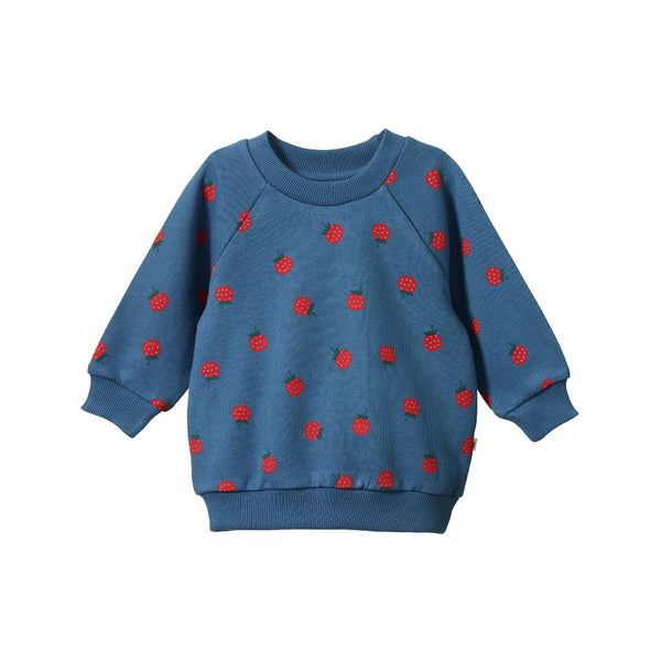 Nature Baby - Emerson Sweater / Raspberry Blue Print