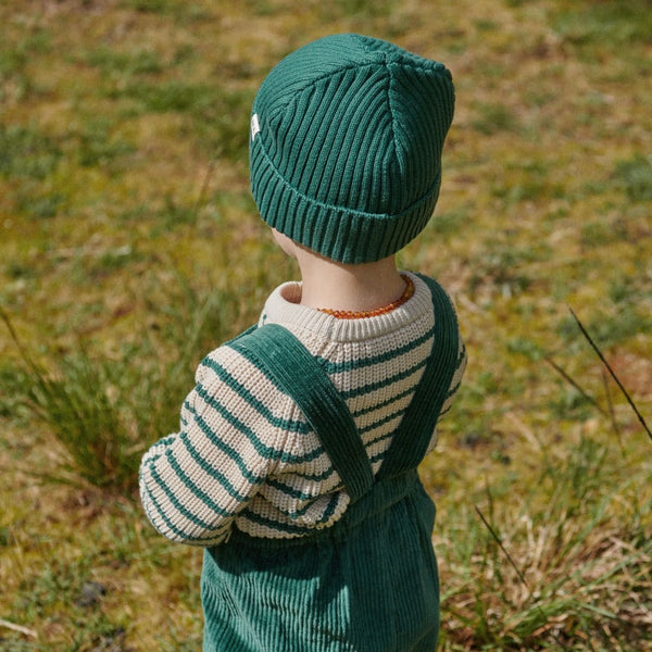 Nature Baby - Billy Jumper / Pine Sailor Stripe