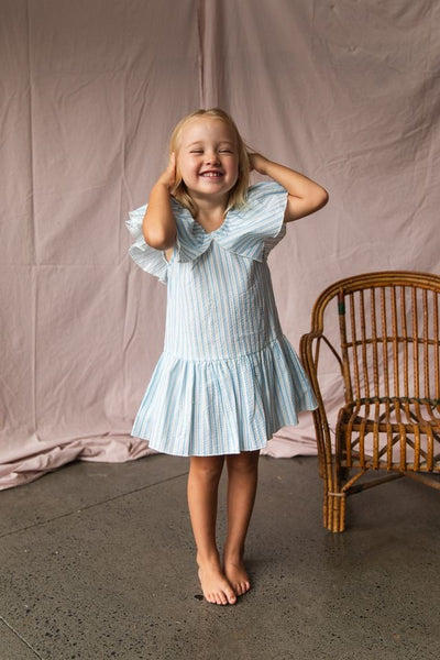 Pearson & Pearson - Margot Dress / Stripe