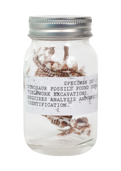 Seedling - Dino Fossils in a Jar!