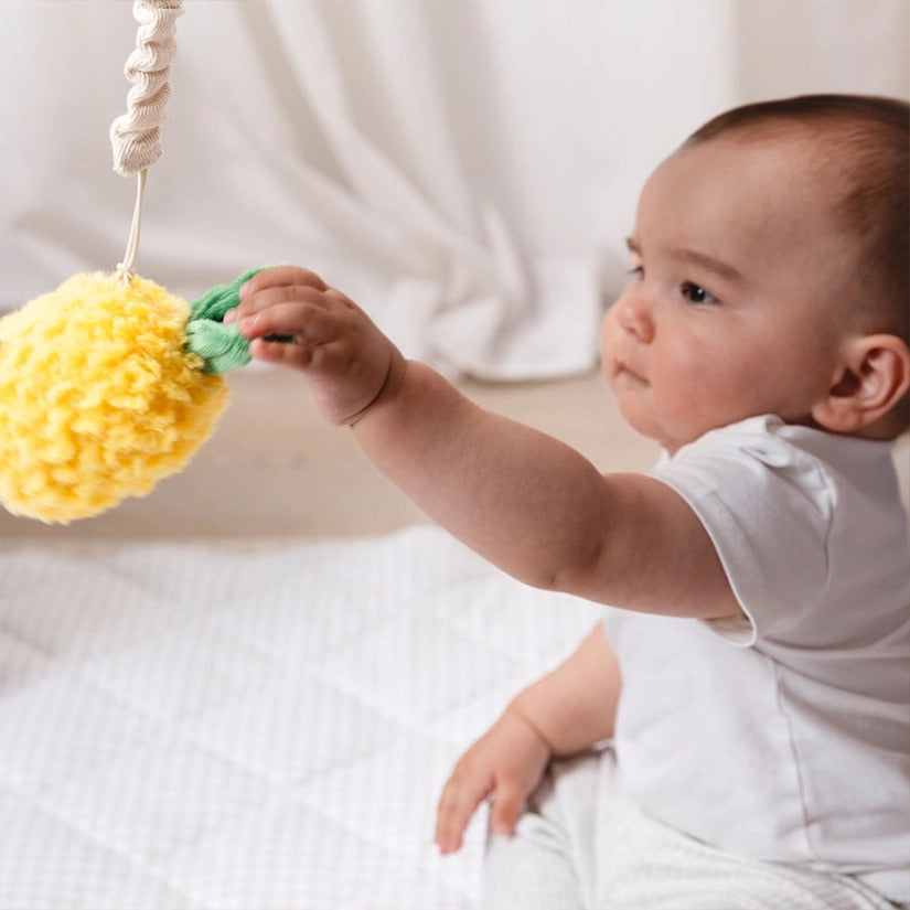 Living Textiles - 2 Pack Mini Market Brunch Stroller Toys / Pineapple & Cherries
