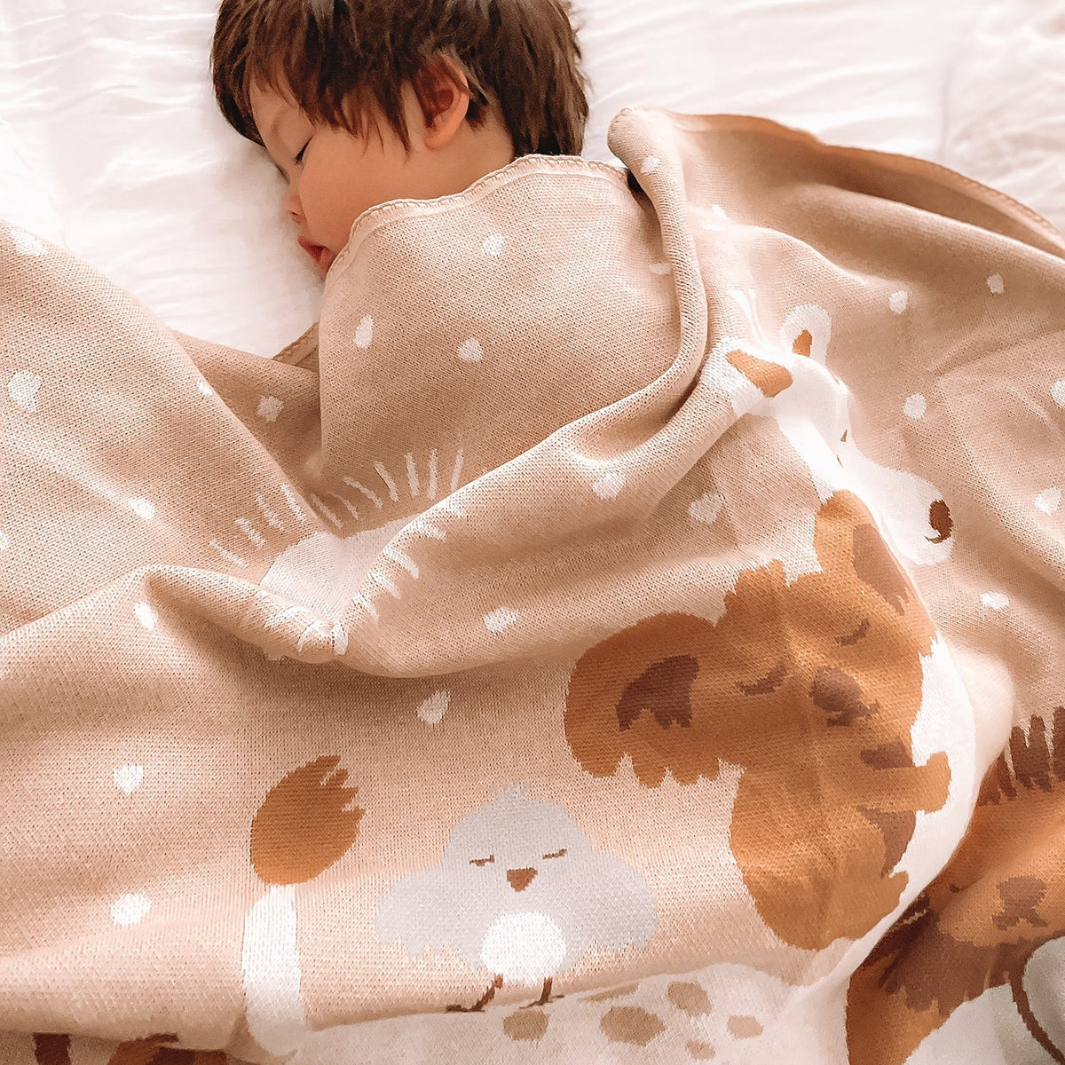 Fox & Fallow - Blanket