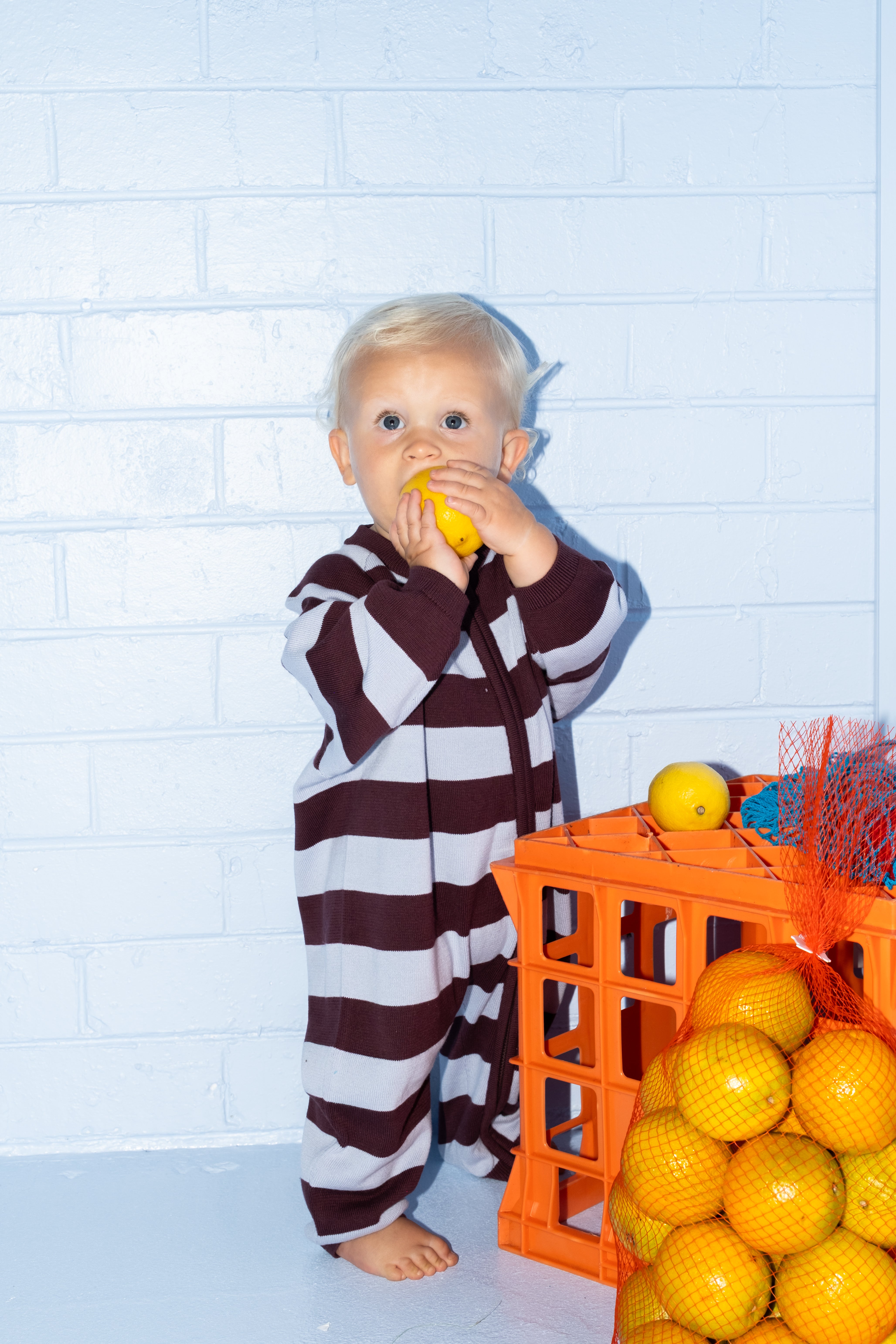 Grown Clothing - Organic Stripe Zipper Knit Starsuit / Plum & Haze