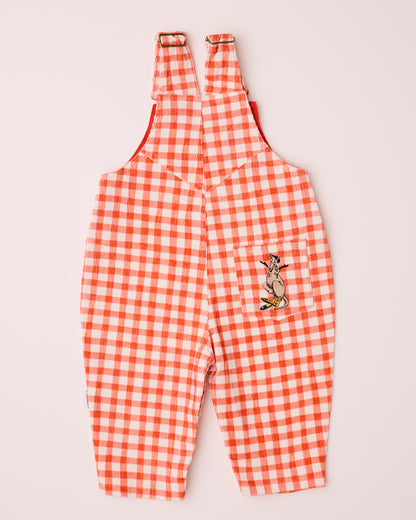 Kip & Co - Blinky Bill Blinky Baby Corduroy Overalls