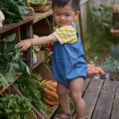 Nature Baby - Ren Bodysuit / Sunny Sea Stripe