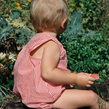 Nature Baby - Cedar Suit / Meri Stripe