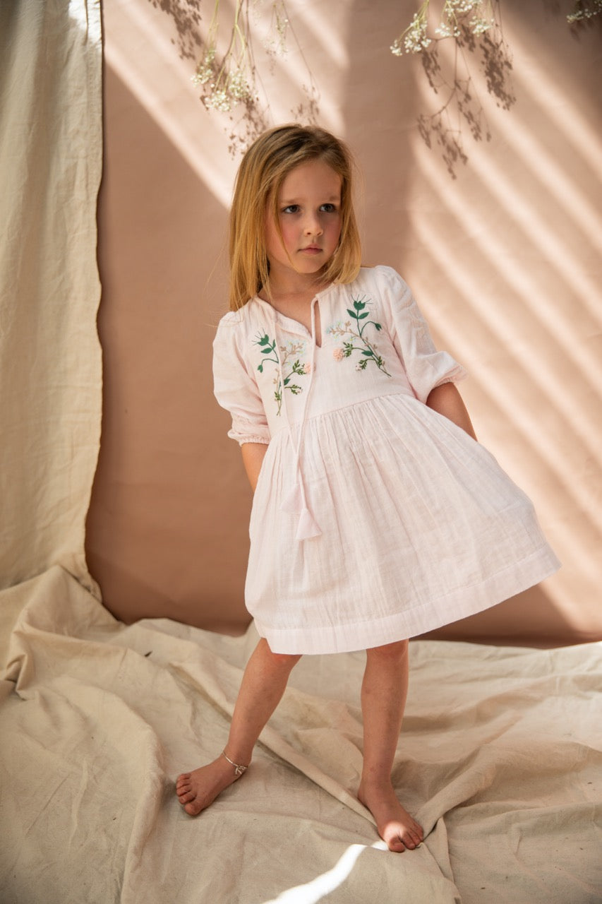 Bella+ Lace-Nadia Dress/Pink Pond