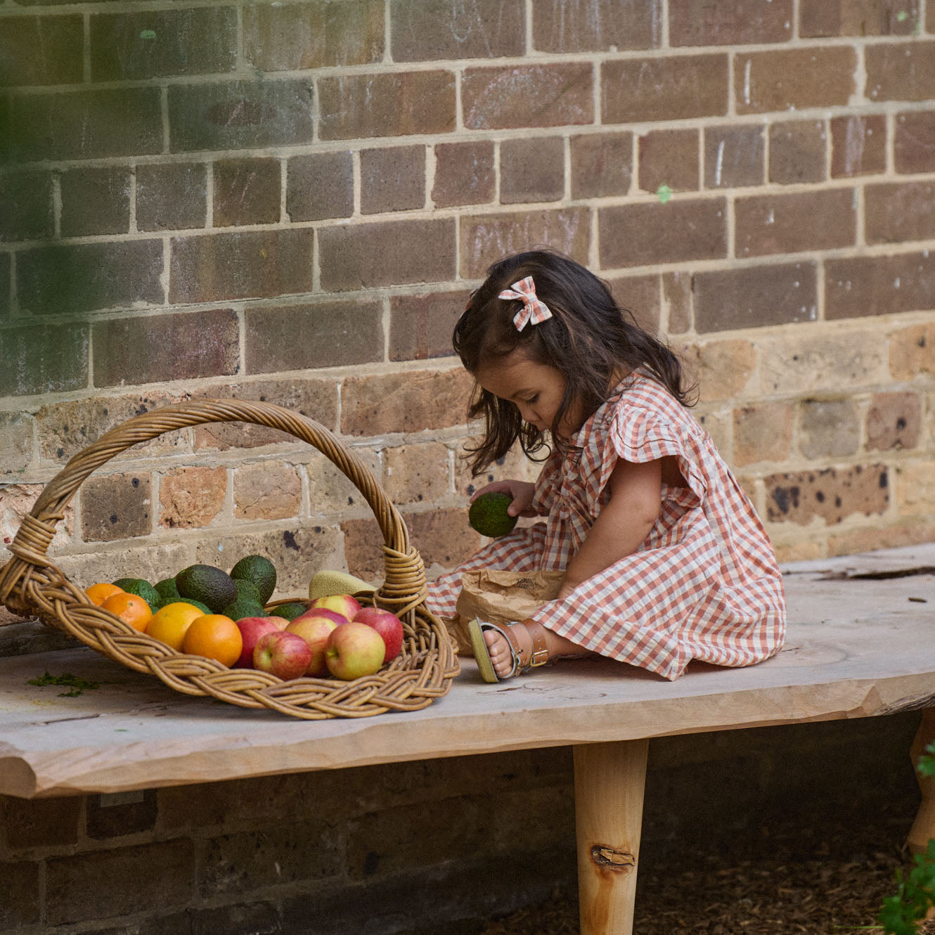 Nature Baby - Una Dress / Dandelion Gingham