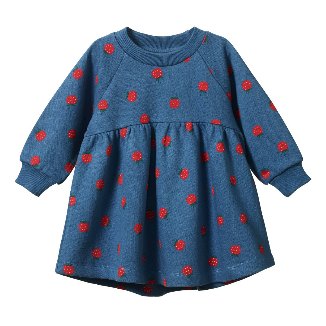 Nature Baby - Ines Dress / Raspberry Blue Print
