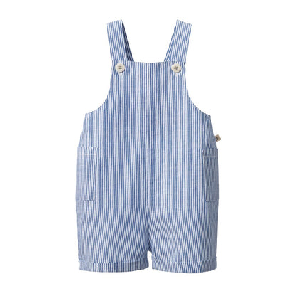 Nature Baby - Tucker Shortie Overalls / Blue Stripe
