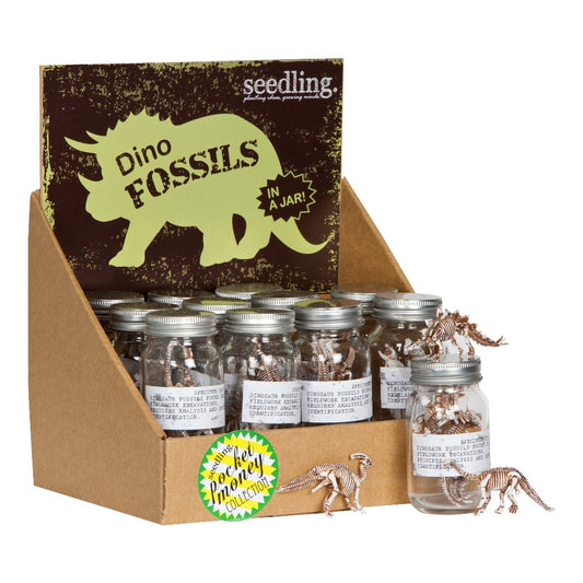 Seedling - Dino Fossils in a Jar!