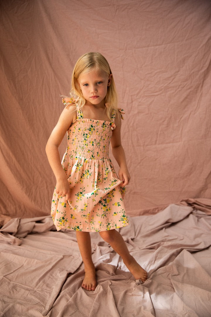 Bella + Lace - Nora Dress / Picnic Blooms