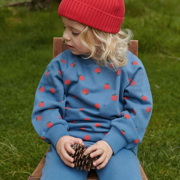 Nature Baby - Emerson Sweater / Raspberry Blue Print