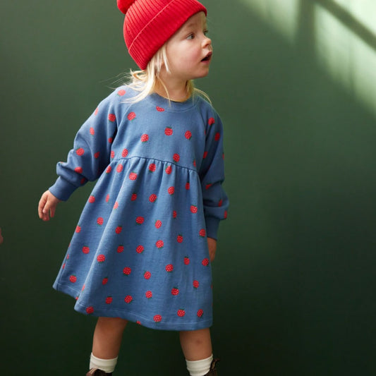 Nature Baby - Ines Dress / Raspberry Blue Print