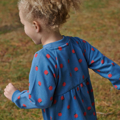 Nature Baby - Ines Dress / Raspberry Blue Print