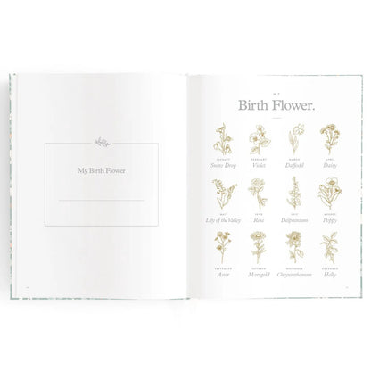 Fox & Fallow - Baby Book
