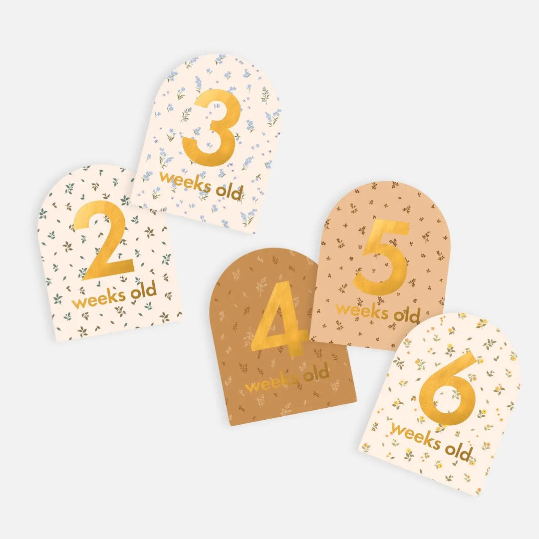 Fox & Fallow - Baby Milestone Cards / Broderie