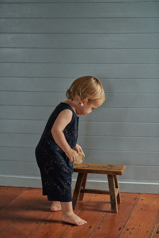 Nature Baby - Camper Suit / Fairground Navy Print