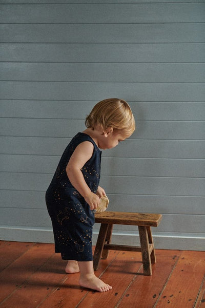Nature Baby - Camper Suit / Fairground Navy Print