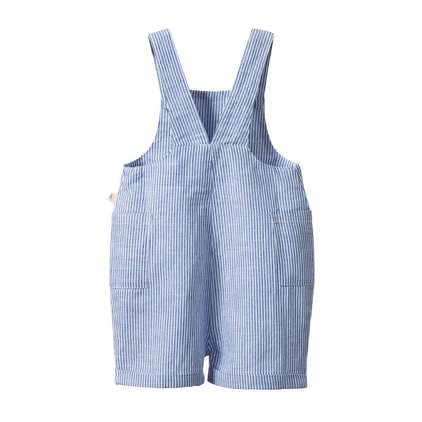 Nature Baby - Tucker Shortie Overalls / Blue Stripe