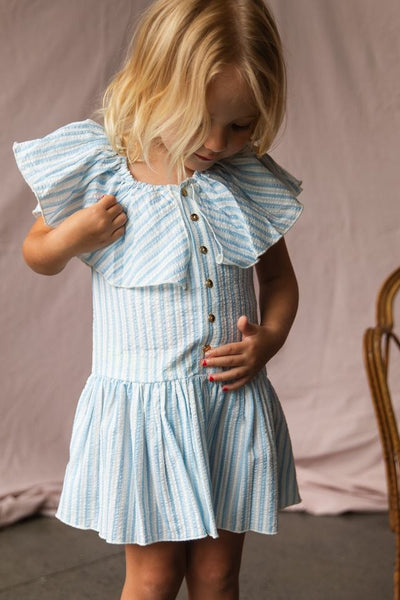 Pearson & Pearson - Margot Dress / Stripe