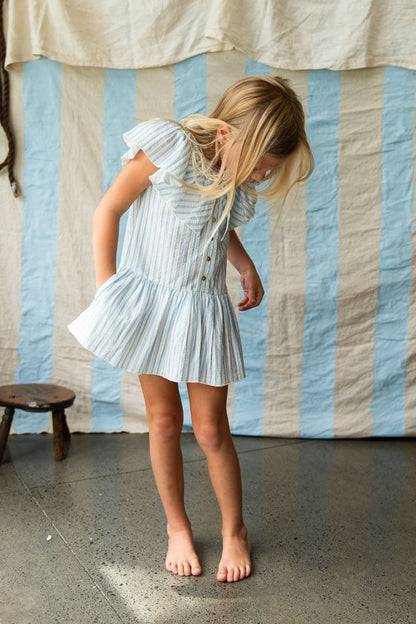 Pearson & Pearson - Margot Dress / Stripe