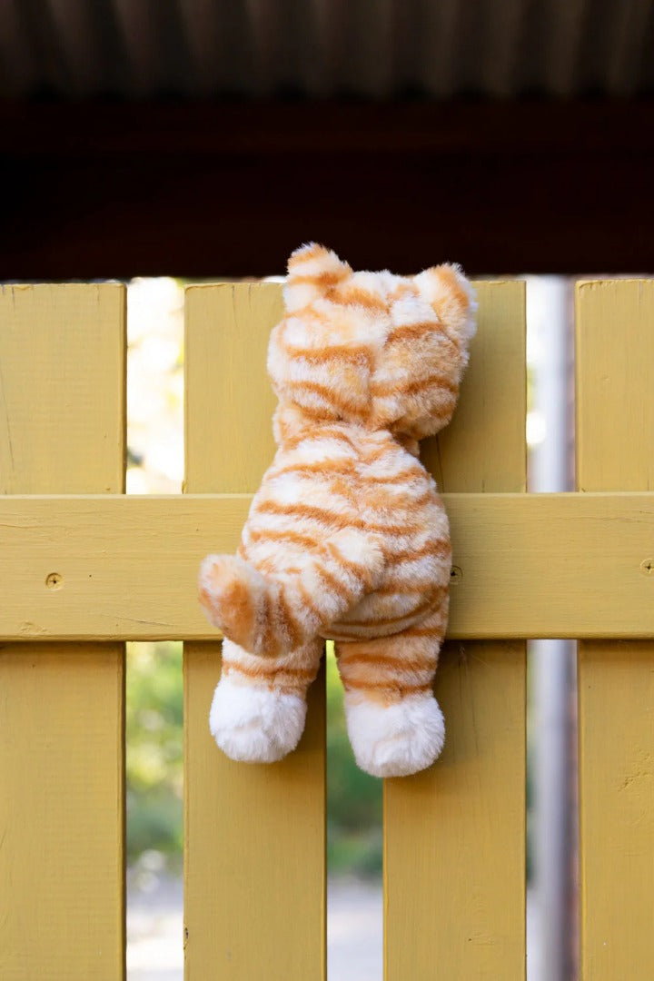Nana Huchy - Ginger the Kitten