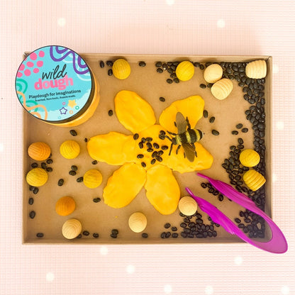 Wild Dough Playdough - Playdough (Jar-280grams)