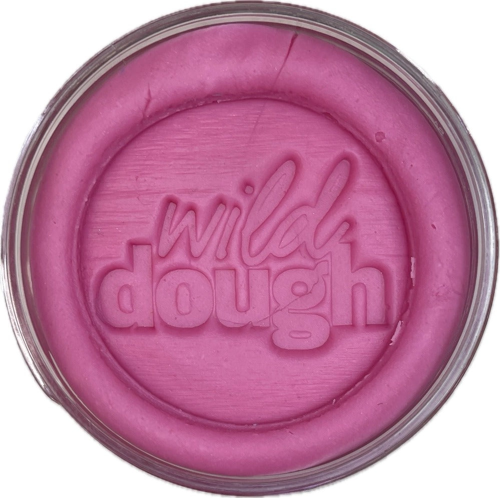 Wild Dough Playdough - Playdough (Jar-280grams)