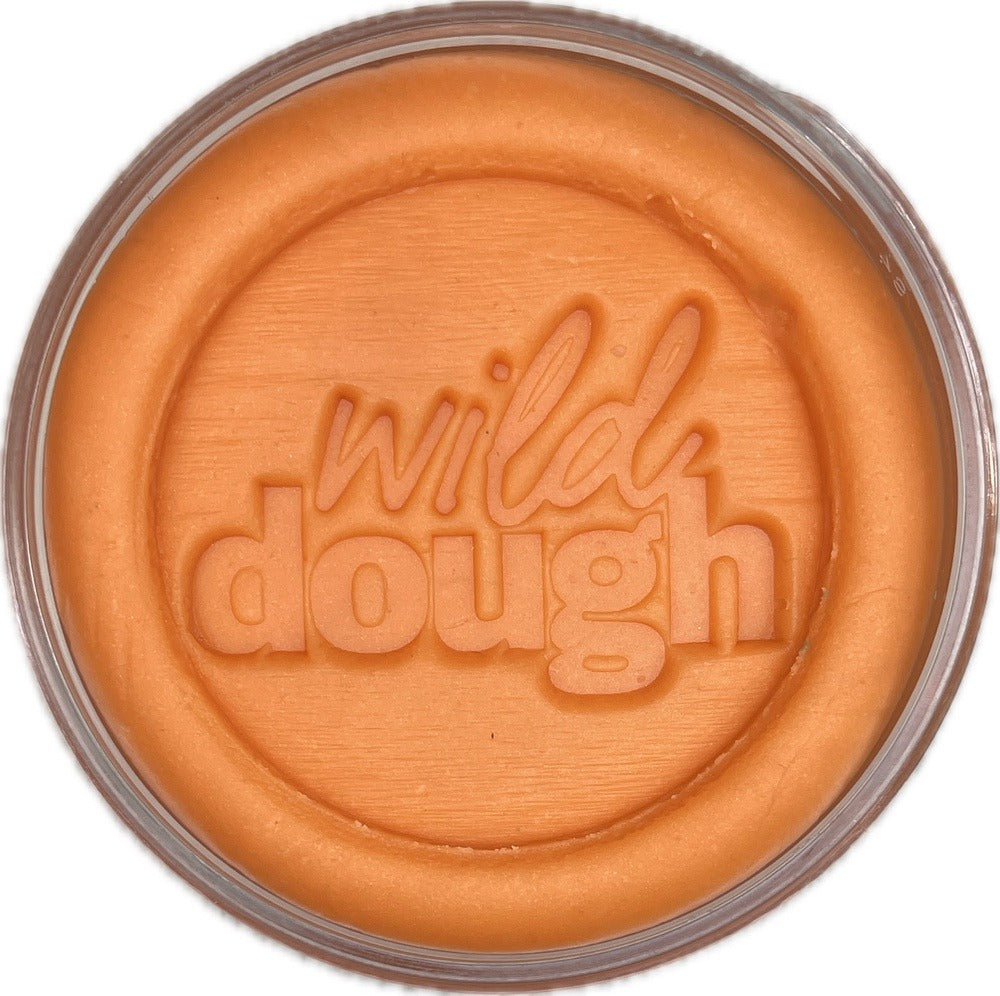 Wild Dough Playdough - Playdough (Jar-280grams)