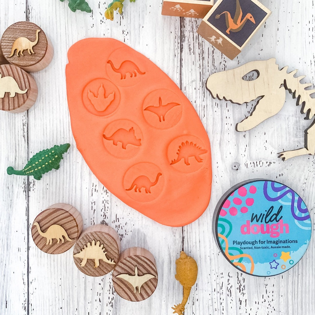 Wild Dough Playdough - Playdough (Jar-280grams)