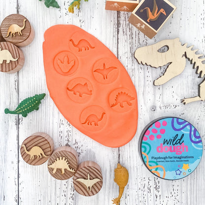 Wild Dough Playdough - Playdough (Jar-280grams)