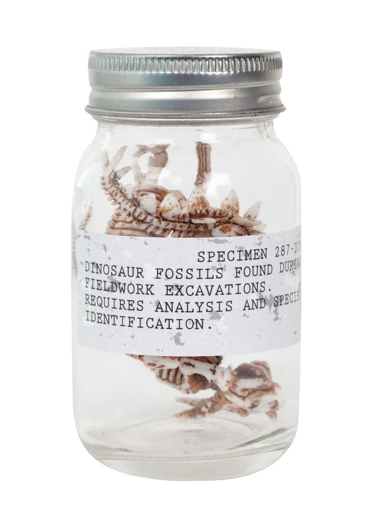 Seedling - Dino Fossils in a Jar!