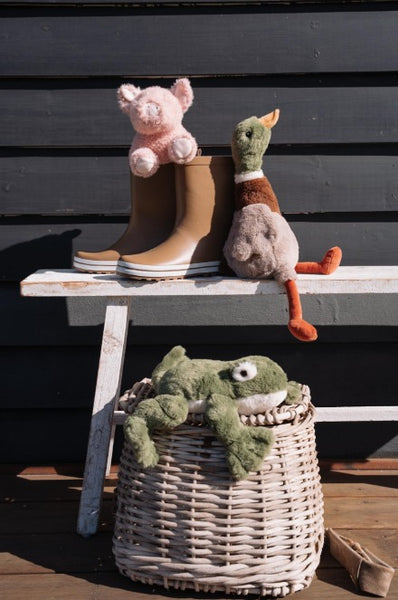Nana Huchy - Finley the Frog