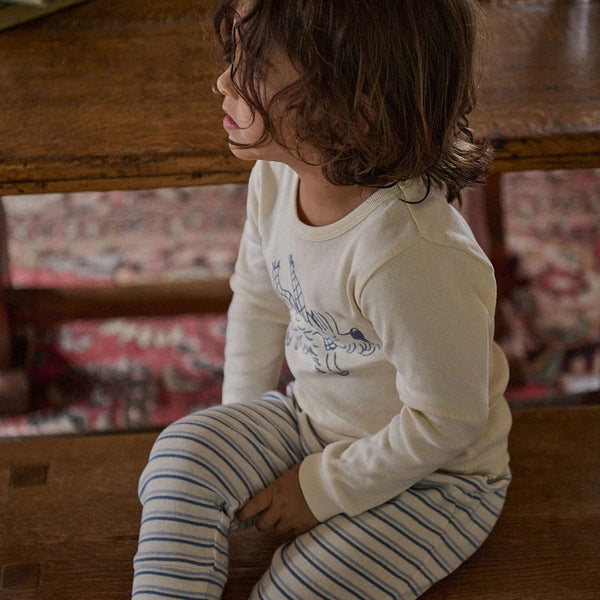 Nature Baby - 2PC Long Sleeve Pyjamas / Franklin Print