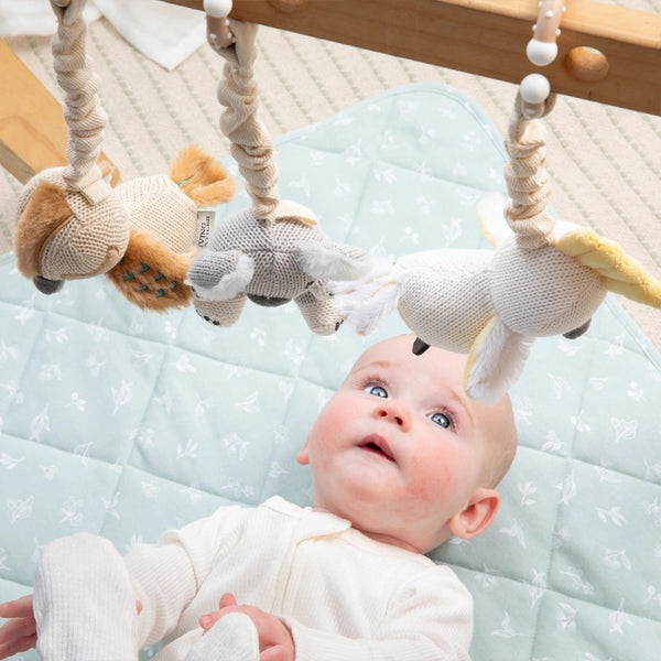 Living Textiles - 2pk Stroller Toy / Koala & Cockatoo