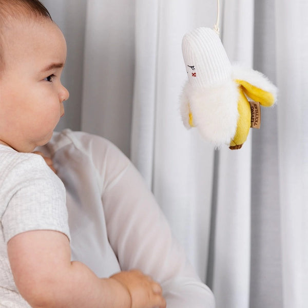 Living Textiles - 2 Pack Mini Market Brunch Stroller Toys / Apple & Banana