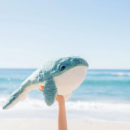 OB designs - Hurley Whale
