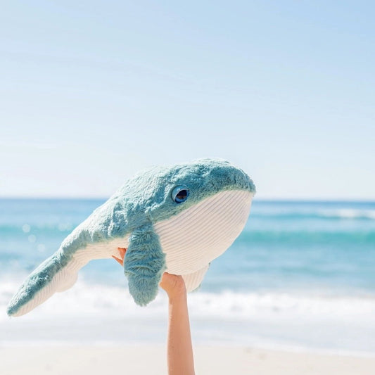 OB designs - Hurley Whale