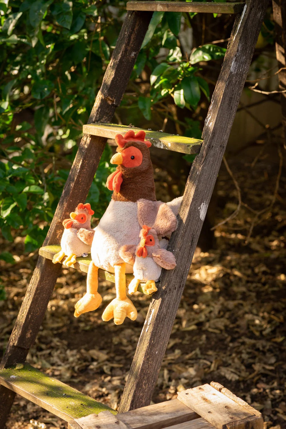 Nana Huchy - Randy the Rooster