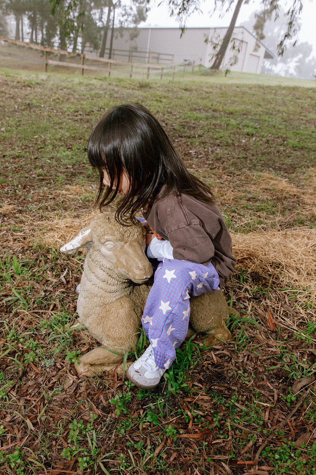 Sunday Siblings - Dusty Star - Purple Gingham