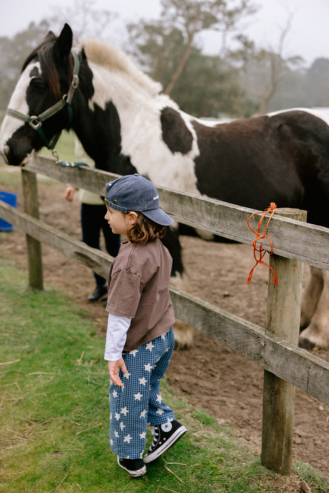 Sunday Siblings - Dusty Star Pants / Blue Gingham