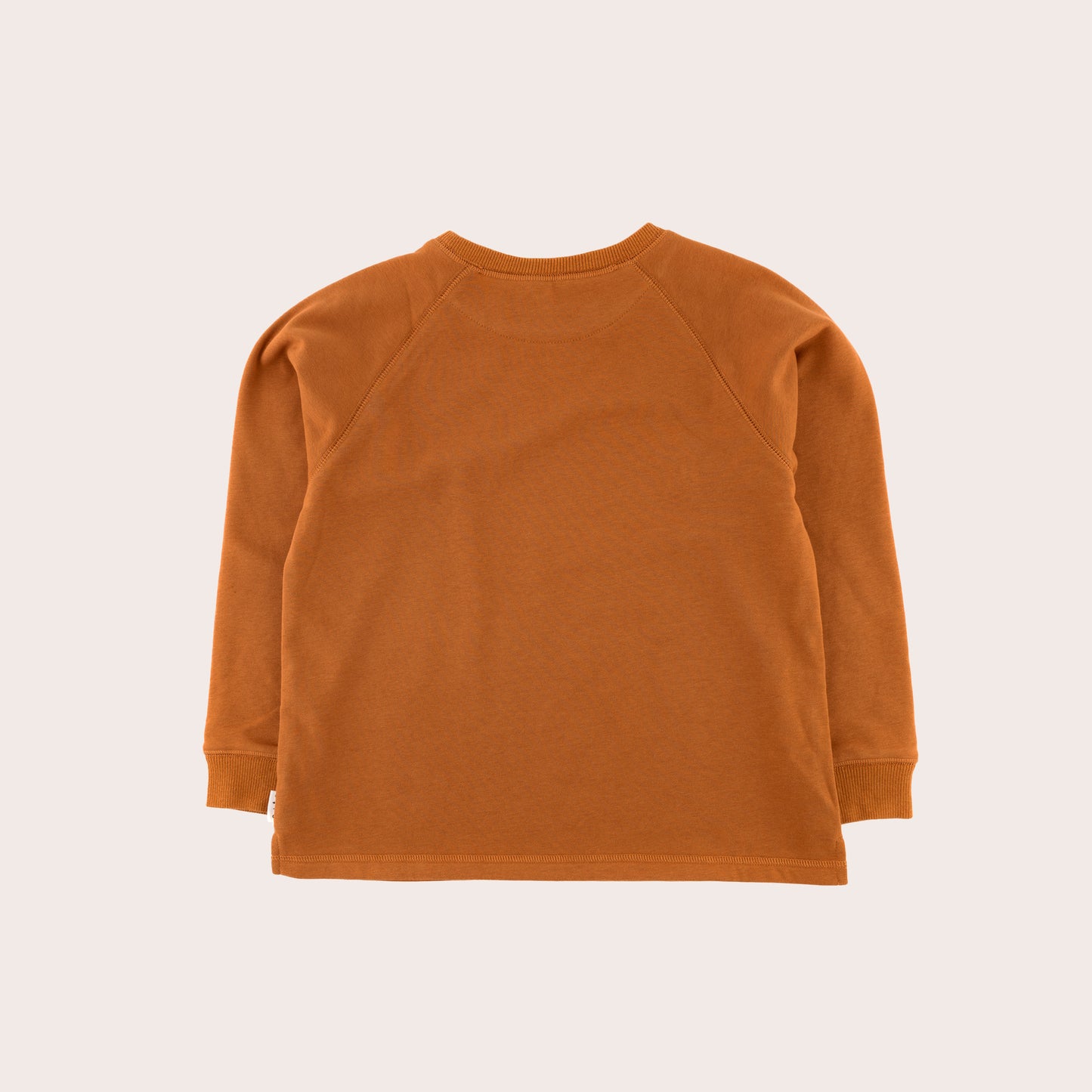 Olive + The Captain - Flowers, Towers, Superpowers Pullover / Tan