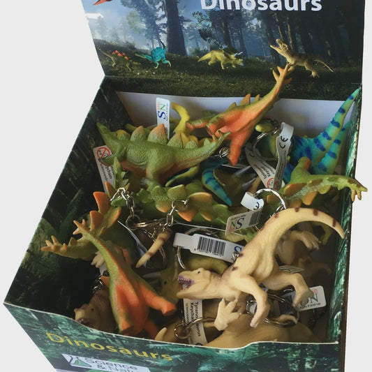 Science by Nature - Dino key chain / Assorted